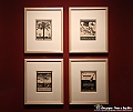 VBS_4837 - Mostra Escher